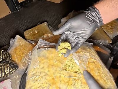 İstanbul'da 3 ilçede uyuşturucu operasyonu: 45 kilo skunk ele geçirildi, 4 gözaltı