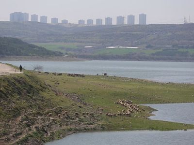 İstanbul’da Barajlar Yüzde 80 Seviyesine Ulaştı