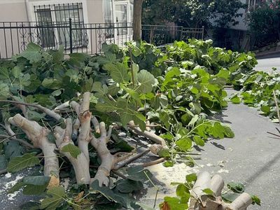 İstanbul'da Fırtına Hayatı Olumsuz Etkiliyor