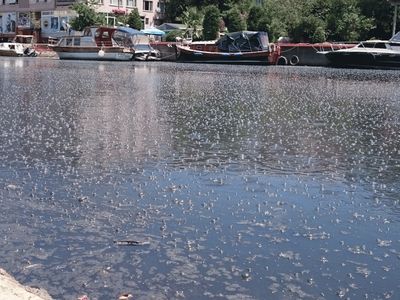 İstanbul'u Lağım Kokusu Sardı: Vatandaşlar İsyan Ediyor!
