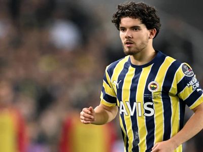 İtalyan basını dev takası duyurdu: Ferdi Milan’a, Krunic Fenerbahçe’ye