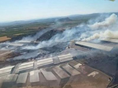 İzmir Bergama'da korkutan yangın! İzmir-Çanakkale kara yolu trafiğe kapatıldı