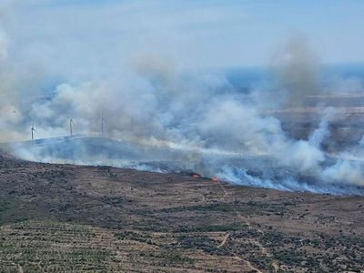 İzmir ve Hatay’da orman yangını: Ekipler havadan ve karadan müdahale ediyor