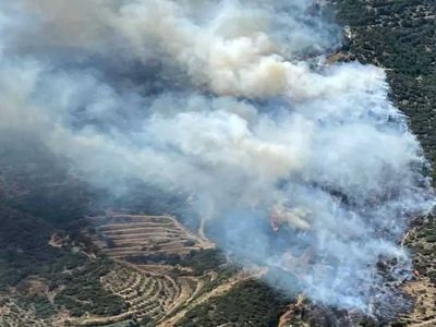 İzmir'de korkutan orman yangını! Çok sayıda ekip olay yerine sevk edildi