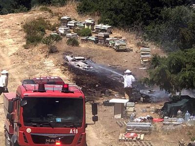 İzmir'de korkutan orman yangını: Ekipler seferber oldu