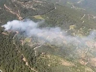 İzmir'de korkutan orman yangını! Olay yerine çok sayıda personel sevk edildi