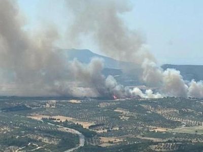 İzmir'de korkutan yangın! Ekipler seferber oldu!