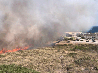 İzmir’de Orman Yangını