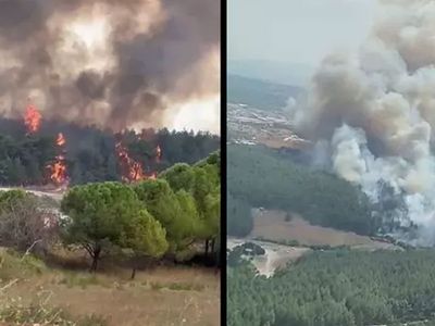 İzmir’de orman yangını: Havalimanı uçuşlara kapatıldı