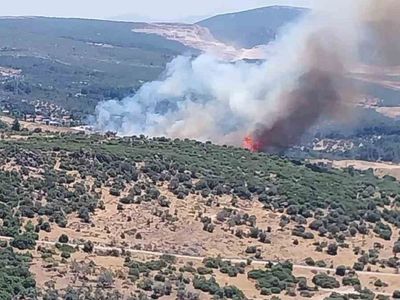 İzmir'de orman yangınına havadan ve karadan müdahale