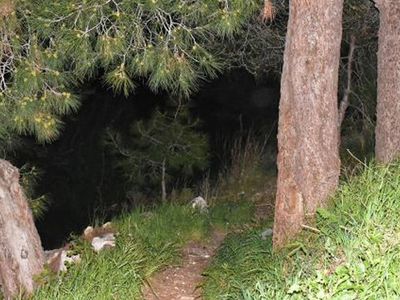 İzmir'de Ormanda Kafatası ve Kaburga Bulundu