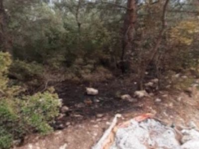 İzmir'de Ormanı Ateşe Veren Şüpheli PKK/KCK Üyesi Yakalandı