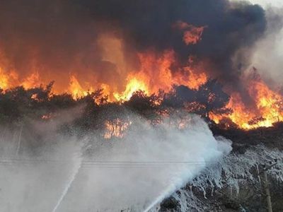 İzmir'de ormanlık alanda yangın! Çıkan yangın kontrol altına alınmaya çalışılıyor