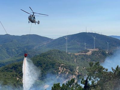 İzmir'de Ormanlık Alanda Yangın Çıktı