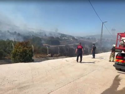 İzmir'de ormanlık alanda yangın, fabrikalar tahliye edildi