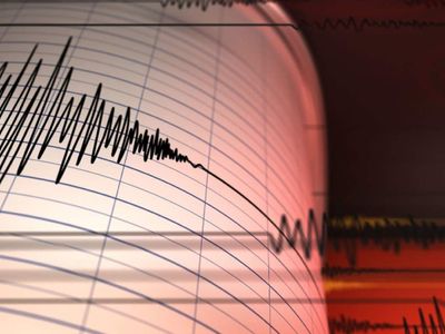 İzmir’de panik yaratan deprem: AFAD’dan açıklama geldi