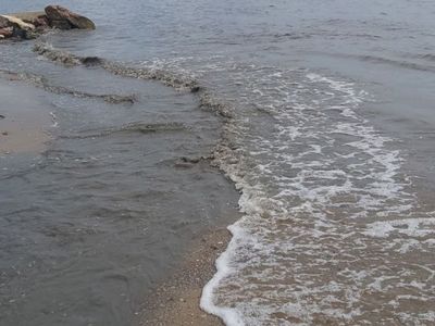 İzmit Körfezi simsiyah oldu! Denizin rengini gören vatandaşlar tedirgin