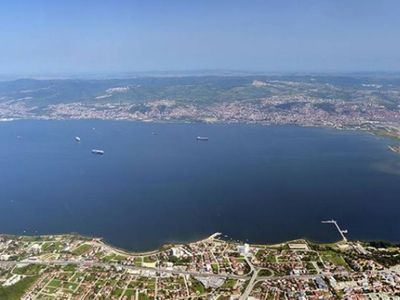 İzmit körfezindeki yosunların sebebi ne? Yosun zararlı mı nasıl oluşur?