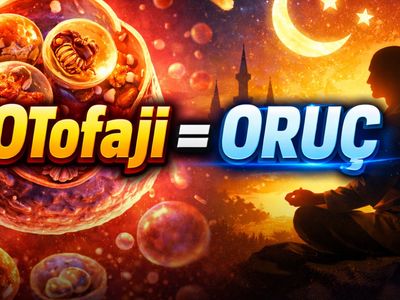 Japon biyologdan hücrenin “iç temizlik” sistemi