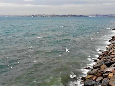 Kadıköy Moda Sahili İSKİ'nin Bıraktığı Sular Yüzünden Rengini Değiştirdi