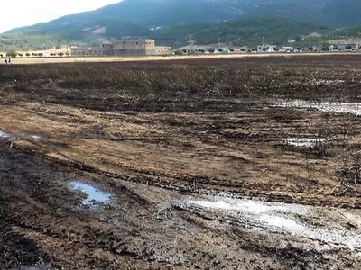 Kahramanmaraş’ta Buğday Tarlası Yandı