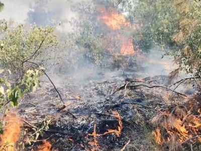 Türkiye'nin Dört Bir Yanı Yanıyor: Kahramanmaraş, Elazığ, İzmir, Osmaniye Alevlere Teslim Oldu!