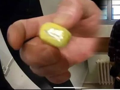 Kandil talimatlarını ileten avukat yakalandı: 16 sayfalık eylem talimatı ortaya çıktı
