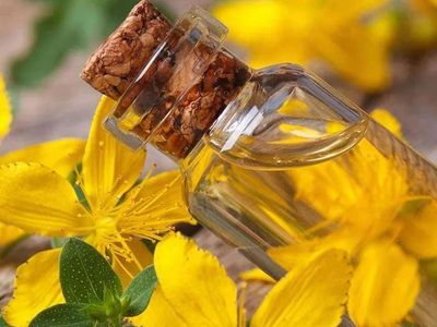 Kantaron yağı nedir, faydaları nelerdir, neye iyi gelir, basura iyi gelir mi? Basurun doğal ilacı kantaron yağı ağrıyı yok ediyor