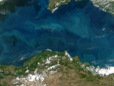 Karadeniz alarm veriyor: Sıcaklık seviyesi üst sınırlarda
