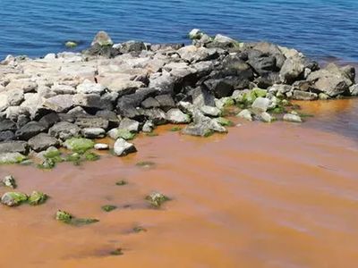 Karadeniz'de korkutan görüntüler! Ekipler hemen harekete geçildi, numune alındı