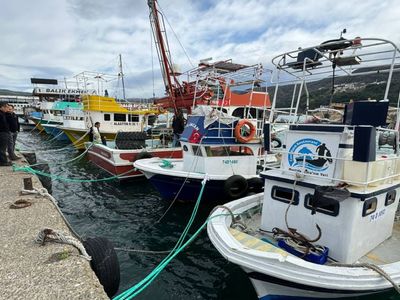 Karadeniz’de dev dalgalar gemiyi karaya oturttu: Okullar 1 gün tatil edildi