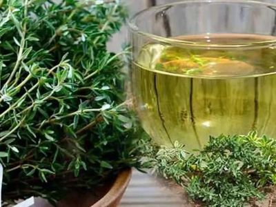 Kekik çayı nasıl demlenir, kimlerin içmesi zararlıdır? Kekik çayının yararları ve zararları nelerdir?