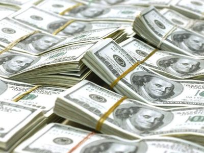 Kendisi küçük değeri devasa: Tam 63 bin dolara satıldı