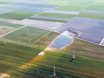 Kilometrelerce uzunluktaki fay hattı görüntülendi: Deprem bataklık gölü meydana getirdi