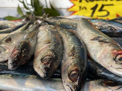 Alıcı da satıcı da mutlu! Kilosu 15 lira olan kolyoz balığı dikkatleri üzerine çekti!