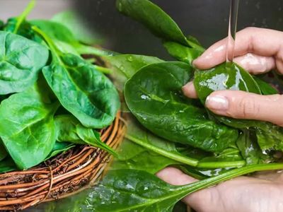 Kinder’den sonra şimdide ıspanakta salmonella tehlikesi: Hemen iade edin sakın tüketmeyin