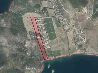 Kızılay, 120 bin metrekare zeytinlik tarla satıyor