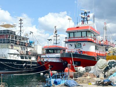 Kocaeli'de Balıkçılar 'Deniz Salyası' Sebebiyle Sezonu Kapattı
