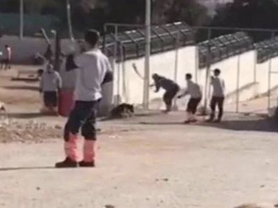 Konya hayvan barınağı vahşeti:  Tarım Bakanlığı’ndan açıklama yapıldı