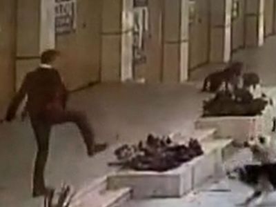 Köpek saldırıları bitmek bilmiyor: İstanbul'da 8 yaşındaki Ömer nerdeyse canından oluyordu!