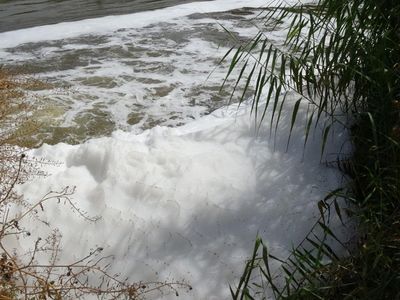 Korkutan Uyarı Geldi! Büyük Menderes Nehri'nde Tehlike Kapıda