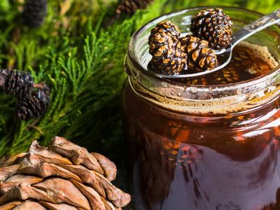 Kozalak Şurubu Nasıl Yapılır, Faydaları Nelerdir?