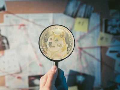 Kripto Para Borsasında Dolandırıcılık Nasıl Anlaşılır, SCAM Coin Nedir? 