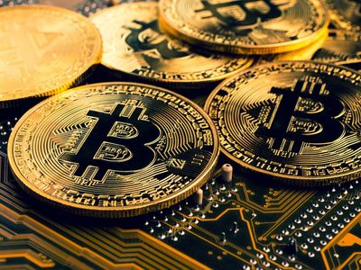 Kripto para borsasında son durum: İşlemler durdu mu?