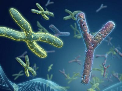 Kromozom Nedir?