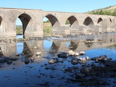 Kuraklık Nedeniyle Dicle Nehri’nde Su Seviyesi Azaldı! Balıklar Kıyıya Vurdu
