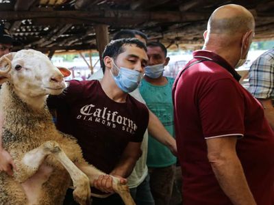 Kurban Bayramı 2023 ne zaman, ayın kaçında başlıyor? Bayram tatili kaç gün olacak?