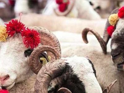 Kurban Bayramı tatili ne zaman, hangi tarihte başlıyor? Kurban Bayramı 2022 ne zamana denk geliyor?