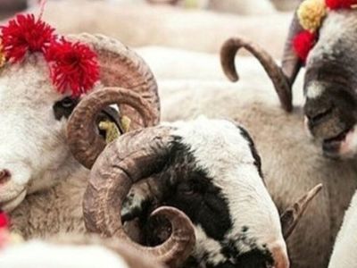 Bilim Kurulu Üyesi Açıkladı; Kurban Bayramı'nda Kısıtlama Olacak mı?