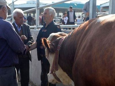 Kurban Satış ve Kesim Yerlerinde Alınacak Tedbirler Açıklandı